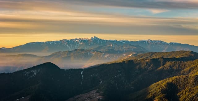 Naldehra Golf Hills - The Power Of Location