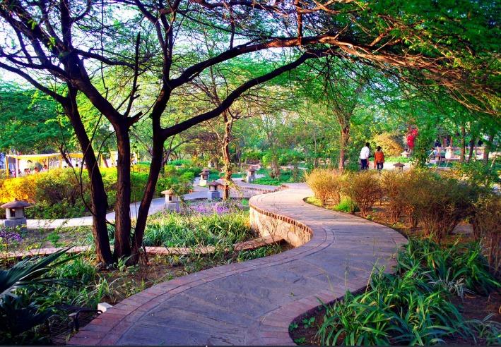 GARDEN OF FIVE SENSES, SAID-UL-AZAIB, DELHI